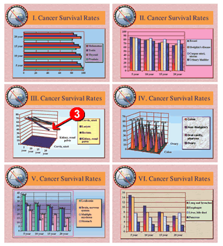 PowerPoint Charts